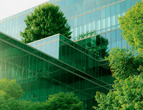 Plans de transition : pour éviter le greenwashing, il faut des règles solides