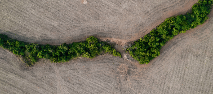Déforestation de l'amazonie par les banques françaises