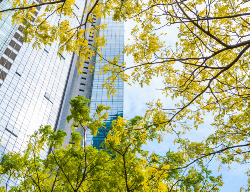 Trésorerie des entreprises : un levier encore inexploité pour le climat et la biodiversité