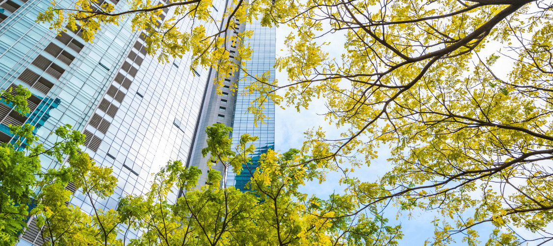 Trésorerie des entreprises