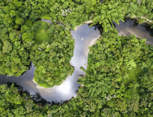 Protéger les zones critiques pour la biodiversité de la prédation fossile